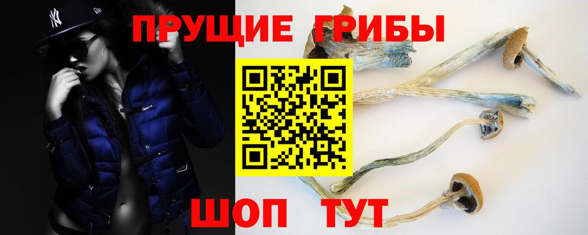 Псилоцибиновые грибы ЛСД Выборг