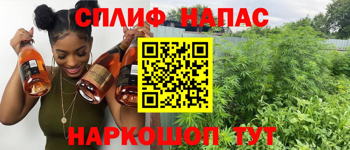 Конопля Bruce Banner Выборг